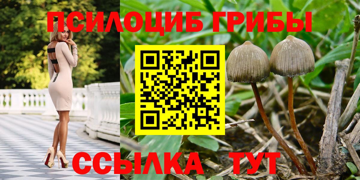 Галлюциногенные грибы ЛСД Истра