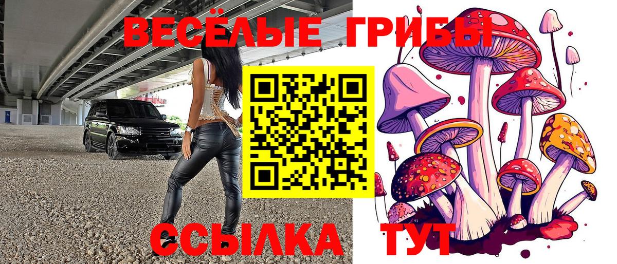 Истра  где купить наркотик  Псилоцибиновые грибы GOLDEN TEACHER  Вход с VPN  Псилоцибиновые грибы Psilocybine cubensis 
